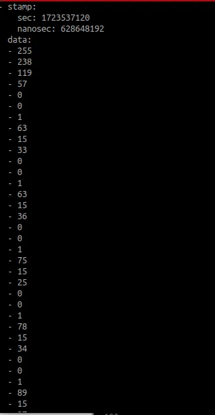 Velodyne Packets echo